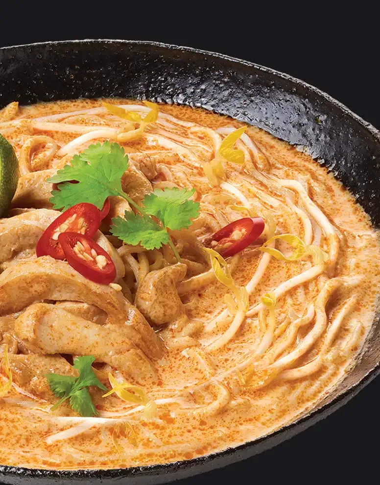 Valcom Dish Photography Laksa