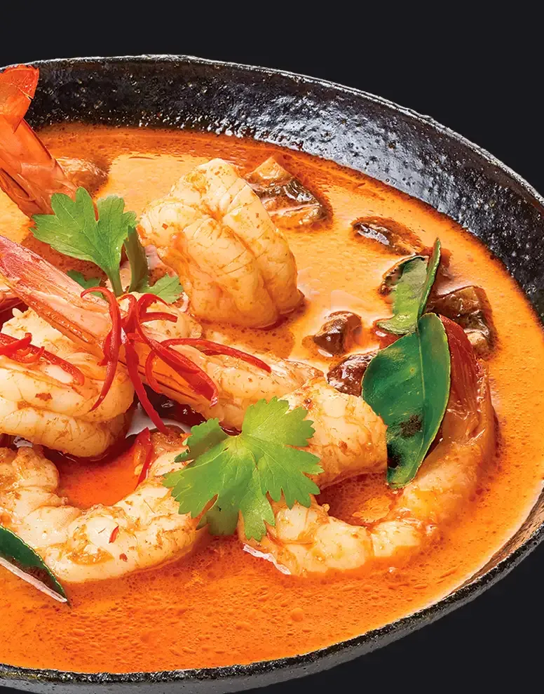 Valcom Dish Photography Tom Yum